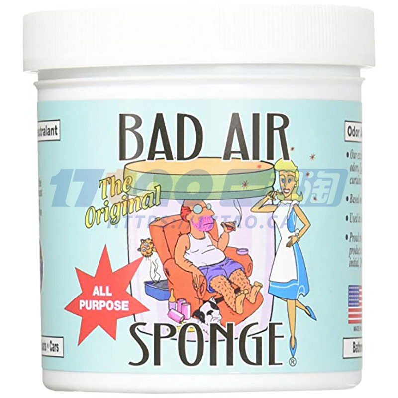 Bad Air Sponge空气清新剂 除甲醛 抗雾霾 400g